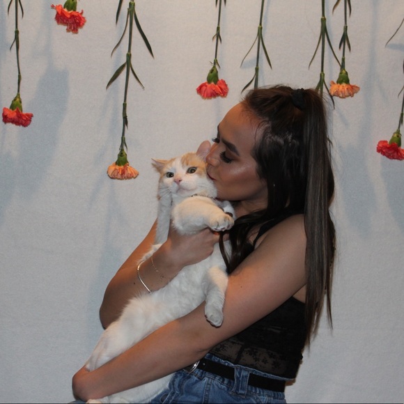 Meet your Posher, Mailey - Picture 4 of 4